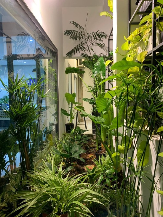 AAP Bình Dương kỷ niệm 05 thành lập